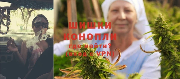 индика Майский
