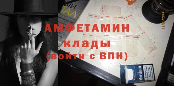 индика Майский