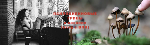 наркотики Медногорск