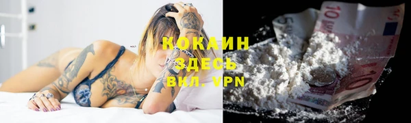 spice Магас