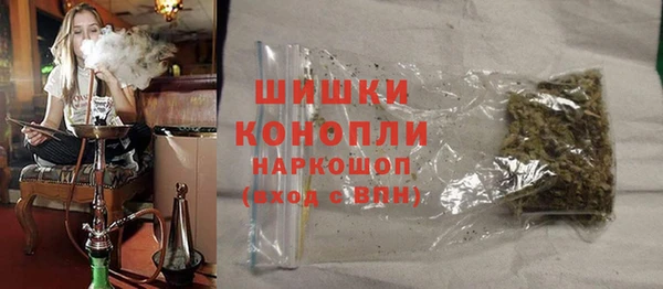 индика Майский