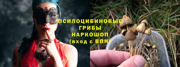 индика Майский